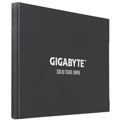 Твердотельный накопитель GIGABYTE 256 ГБ SATA GP-GSTFS30256GTTD