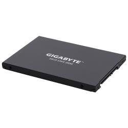 Твердотельный накопитель GIGABYTE 256 ГБ SATA GP-GSTFS30256GTTD