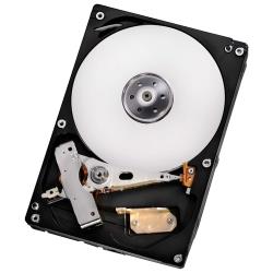 Жесткий диск HGST 500 ГБ HDS721050DLE630