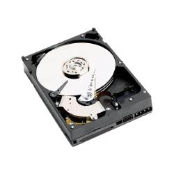 Жесткий диск Western Digital 160 ГБ WD Caviar SE 160 GB (WD1600JS)