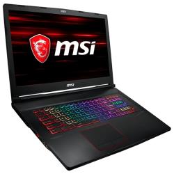 17.3" Ноутбук MSI GE73 8RE Raider RGB (1920x1080, Intel Core i7 2.2 ГГц, RAM 16 ГБ, SSD 256 ГБ, HDD 1000 ГБ, GeForce GTX 1060, Win10 Home)