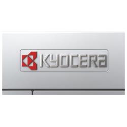 Принтер лазерный KYOCERA ECOSYS P3145dn, ч / б, A4