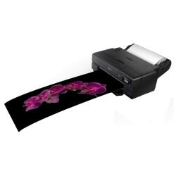 Принтер струйный Epson SureColor SC-P800, цветн., A2