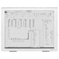 E Ink Монитор ONYX BOOX Mira