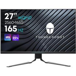 Монитор ThundeRobot Silver Wing LQ27F165L (JT00E400FRU)