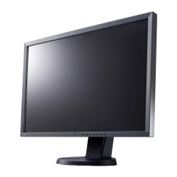 24.1" Монитор Eizo FlexScan EV2436WFS, 1920x1200, 76 Гц, IPS