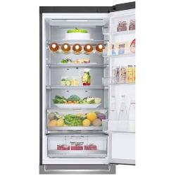Холодильник LG GC-B509SMUM