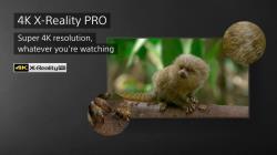LED телевизор Sony KD-55X80K