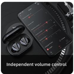 Беспроводные наушники FIIO FW5