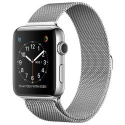 Часы Apple Watch Series 2 42mm with Milanese Loop