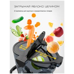Шнековая соковыжималка Wollmer J310 Extra Fresh