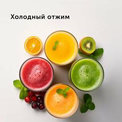 Соковыжималка RED solution RJ-912S