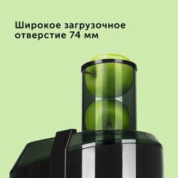 Соковыжималка центробежная RED Solution RJ-916