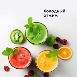 Соковыжималка RED Solution RJ-930S