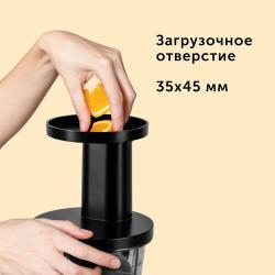 Соковыжималка RED Solution RJ-930S