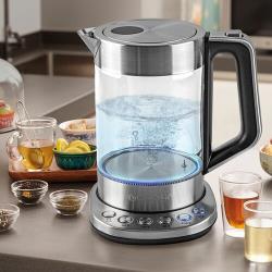 Чайник электрический Endever Skyline KR-366G, серебристый