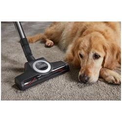 Пылесос Miele Compact C2 Cat &amp; Dog - SDBF5, красный манго