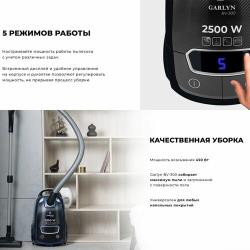 GARLYN BV-300 синий