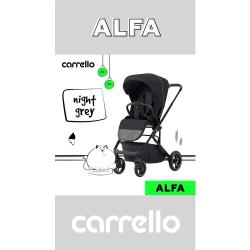 Детская коляска CARRELLO Alfa CRL-5508 Feather Grey 2023 лак