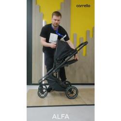 Детская коляска CARRELLO Alfa CRL-5508 Feather Grey 2023 лак