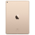 Планшет Apple iPad Air 2 Wi-Fi