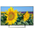 43" Телевизор Sony KD-43XF8096 2018 LED, HDR