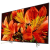 85" Телевизор Sony KD-85XF8596 2018 LED, HDR
