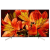 85" Телевизор Sony KD-85XF8596 2018 LED, HDR