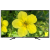 40" Телевизор HARTENS HTV-40F01-T2C / A4 / B 2019 LED