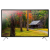 40" Телевизор TCL LED40D2910 LED (2019)