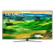 Телеизор LG 55QNED816QA. ARUB