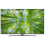 Телевизор LG 75UQ81009LCC, 4K Ultra HD, черный