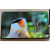 Телевизор Haier H65S9UG PRO