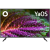 Телевизор Hi VHIX-65U169MSY