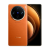 Смартфон VIVO X100 Pro, 16ГБ / 512ГБ, СN, 2 Nano sim, Чёрный