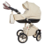 Универсальная коляска Nastella Casual Ecco (2 в 1)