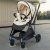 Коляска прогулочная детская Happy Baby Avery от 7 до 36 мес, складная, дождевик, москитная сетка, съемный бампер, коричневая
